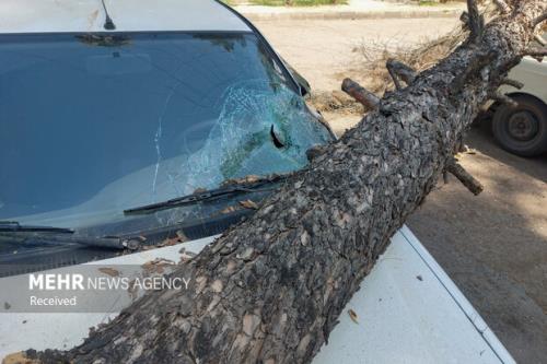 طوفان عصرگاهی تهران 6 مصدوم داشت