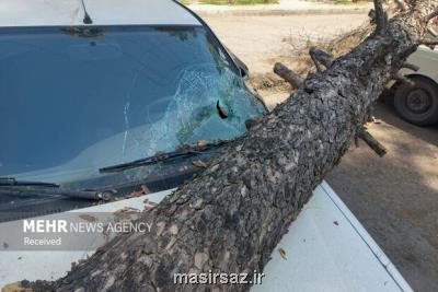 طوفان عصرگاهی تهران 6 مصدوم داشت