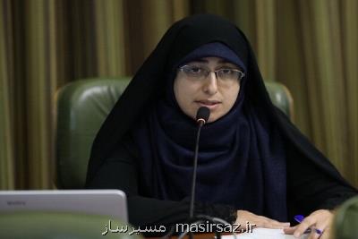 بازبینی در سرانه های خدماتی پروژه باغ راه حضرت فاطمه (س)