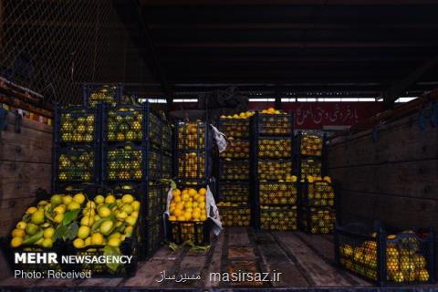 میادین میوه و تره بار امروز و جمعه تعطیل هستند