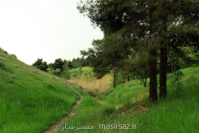 تشریح اقدامات شهرداری تهران برای بهسازی بوستان پردیسان