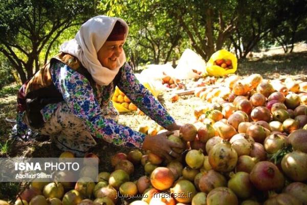 پیش از دادن وام اشتغال به بازار محصول فكر كنیم!
