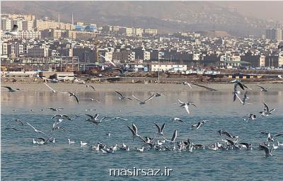 دریاچه شهدای خلیج فارس روزانه سه نوبت ضدعفونی می شود